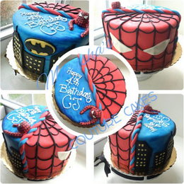 Spiderman Vs Batman By Marisha Cakeside